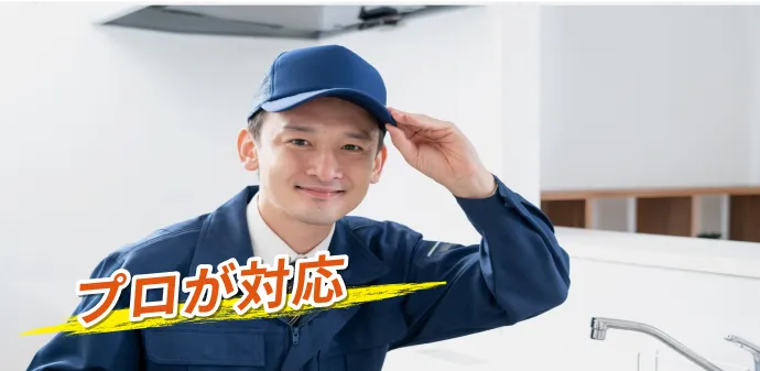 プロが対応という文字とガッツポーズをしている男性の写真